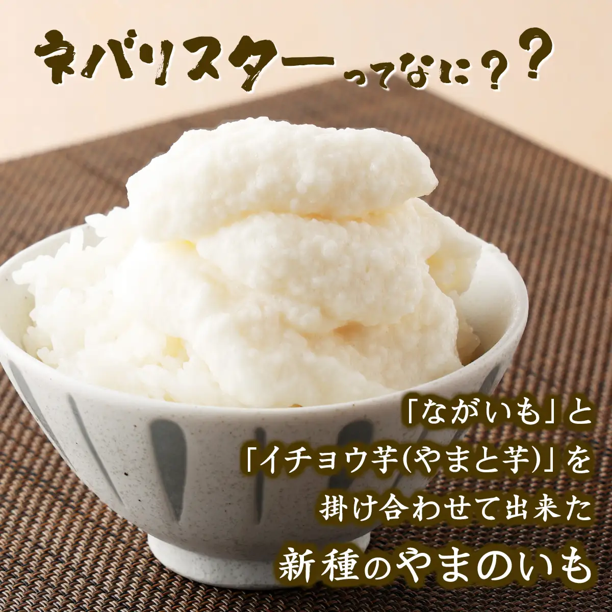 【3ヶ月定期便】ネバリスター冷凍とろろパック(50g×30個) 【長芋 山芋 イチョウ芋 大和芋 とろろ 粘り 冷凍 小分け パック 個包装 簡単 便利 プレーン 贈り物 贈答 ギフト 青森県 東北】【02402-0341】