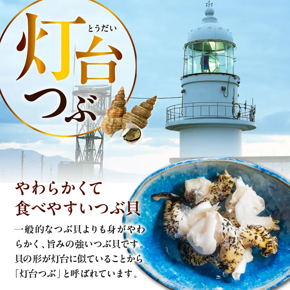 やわらかつぶ貝入り松前漬 250g×2パック