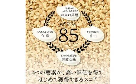 【9回定期】特別栽培米 コシヒカリ ヒロシノキモチ 精米 5kg 総計45kg ブランド米 銘柄米 国産 米 お米 日本米 ギフト 贈り物 備蓄 防災 食品 陽咲玲 はるざれ F6T-926