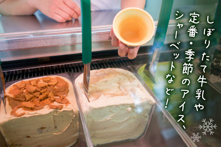 アイス 訳あり 12個 セット 詰め合わせ [ナチューラ 徳島県 北島町 29am0010]