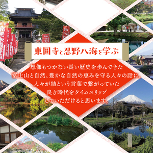 富士山世界文化遺産構成資産忍野八海ゆかりの寺　東圓寺でゆるり旅【忍野八海と東圓寺のご案内】