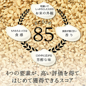 【6回定期】特別栽培米 コシヒカリ ヒロシノキモチ 無洗米 10kg 総計60kg 陽咲玲 米 お米 コメ 無洗米 ご飯 ごはん 富山県産 富山県 立山町 F6T-934
