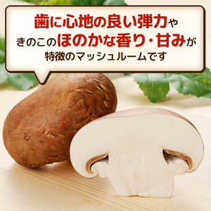 マッシュルーム 産地直送 長谷川農産 3種 セット 新鮮 ホワイト ブラウン ジャイアント ポットベラ 無農薬 無漂白 生でも食べられる ビタミン たんぱく質 希少 濃厚 きのこ キノコ 静岡県 富士市 野菜 [sf002-353]