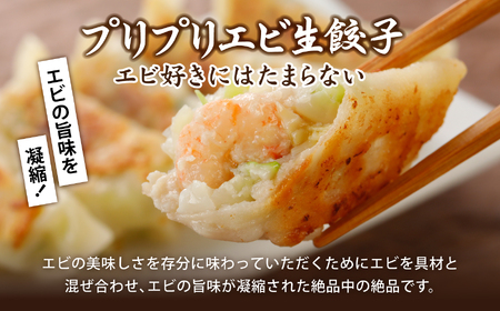 餃子 こだわり本格 生餃子 5種 食べ比べ セット 50個入り (10個×各5種類) 