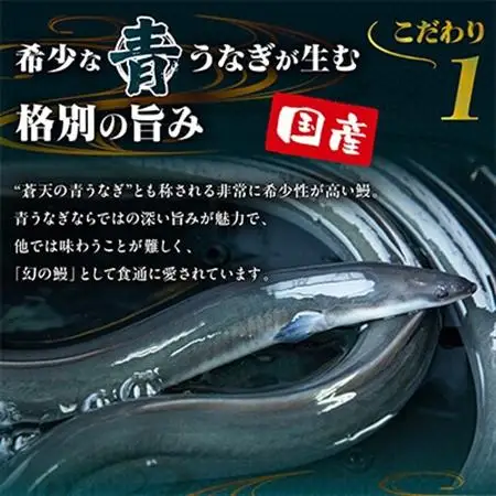 山梨県産富士山脈の地下水うなぎの蒲焼【大尾350g以上】【配送不可地域：離島】【1566344】