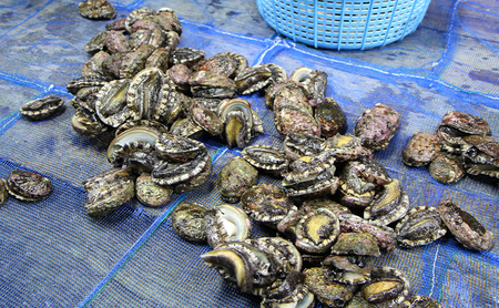 北海道 礼文島産 冷凍生うに(キタムラサキウニ) 40g×2個 ＆ 天然 冷凍蝦夷あわび 500g［野崎水産］【 うに ウニ 雲丹 生うに あわび 鮑 蝦夷あわび 冷凍あわび 刺身 バター焼き 海鮮 】