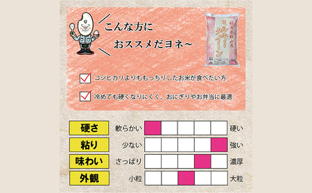 【令和7年産】 福島県郡山産あさか舞ひとめぼれ ミルキークイーン 食べ比べ 10kg（5kg×2）