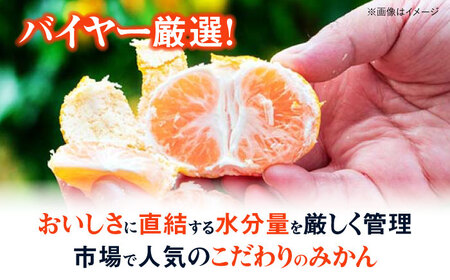 みかん 5kg （早生）【贈答】 温州みかん [AGAR008]