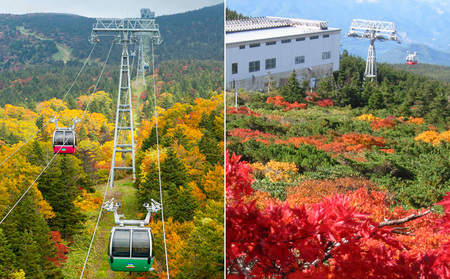 蔵王ロープウェイ乗車券(4区間券)引換券 FZ22-869 蔵王 旅行 山形 山形県 リフト ロープウエイ 樹氷 チケット