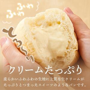 【定期便全３回】＜究極のふわとろ食感＞清水屋 生 クリームパン  12個 2種（カスタード・生クリーム） | クリームパン