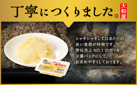 おいしい 寿司ガリお徳用 セット（12個入り） T055-016 惣菜 総菜 加工食品