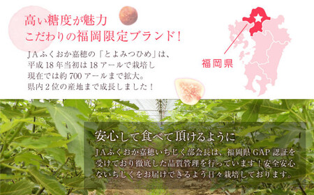 JAふくおか嘉穂 いちじく とよみつひめ 秀品 300g（3～5玉）×4パック 計1.2kg 【2026年8月上旬～10月下旬発送予定】