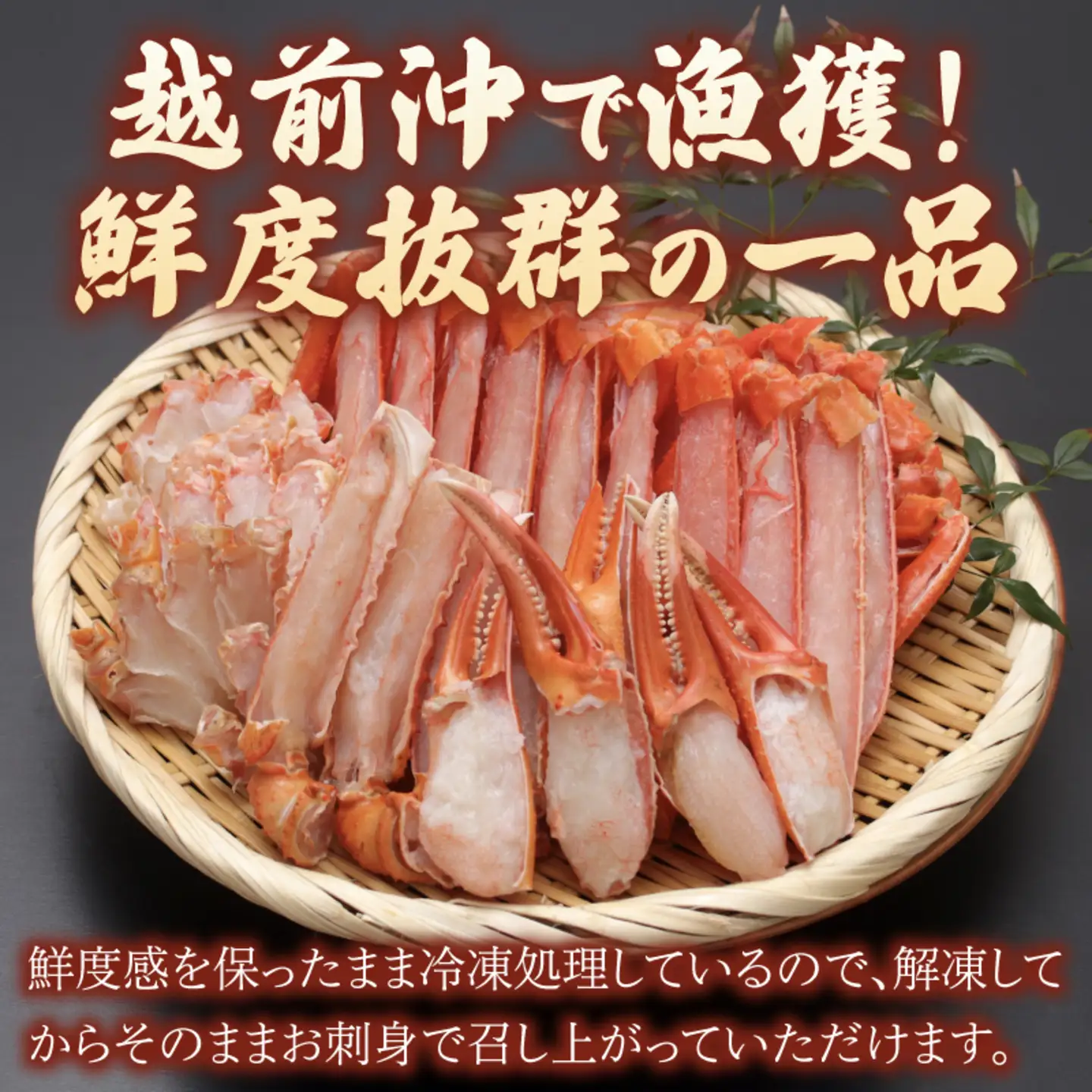 【訳ありセット】生紅ずわいがに ハーフポーション足棒・爪・肩