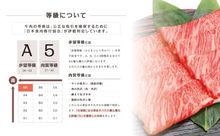 【厳選部位】A5等級 鹿児島県産 黒毛和牛 しゃぶしゃぶ・すき焼き用スライス 400g お肉 牛肉 すきやき すき焼き しゃぶしゃぶ 小分け 冷凍 カミチク