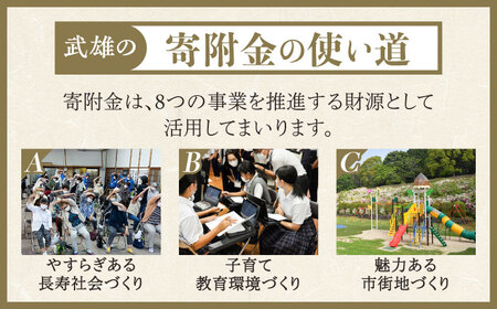応援寄附金 武雄市 まちづくり応援寄附金 返礼品なし（100,000円分）[UZZ108]