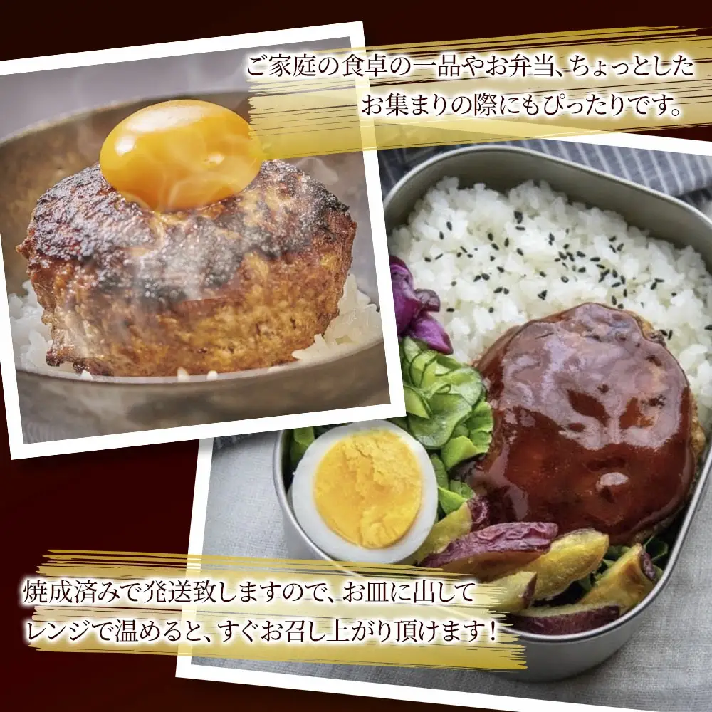 おおいた和牛ハンバーグ デミ＆プレーンハンバーグ 12個 合計約1.2kg | 津久見市
