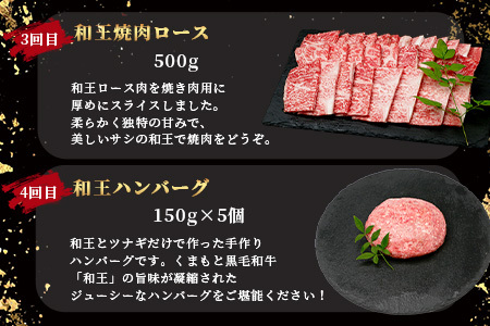 【定期便6回】くまもと黒毛和牛【 和王 堪能 定期便 】6回配送 ブランド牛 プレミアム 定期便 サーロイン ヒレ ステーキ 最上級 黒毛 和牛 牛肉 国産 A4 A5 熊本県 冷凍 》113-0604