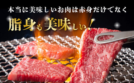 熊本県産 黒毛和牛 カルビ 焼肉用 約600g(約300g×2pc)【有限会社 九州食肉産業】[ZDQ153]