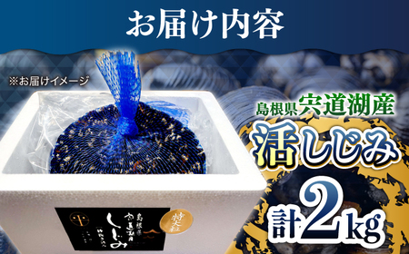 しじみ 新鮮採れたて！宍道湖産活大和しじみ特大粒 2kg (砂はき済み) 島根県松江市/平野缶詰有限会社[ALBZ023] しじみ しじみ