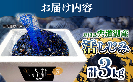 しじみ 新鮮採れたて！宍道湖産活大和しじみ特大粒3kg(砂はき済み) 島根県松江市/平野缶詰有限会社[ALBZ024] しじみ しじみ