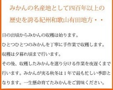 G7325_F_【2026年11月下旬より発送】【ご家庭用訳アリ】紀州有田産濃厚甘熟温州みかん 2kg