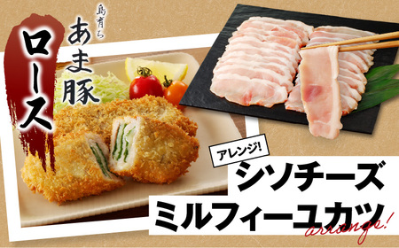 あま豚 焼肉 セット A146-007 豚肉 豚 肉 ぶた肉 ポーク バラ ロース 肩ロース 豚バラ 豚ロース 豚肩ロース スライス 美味しい 焼肉セット バーベキュー BBQ 生姜焼き ミルフィーユカツ きめ細かい 肉質 昼食 夕食 ごはん おかず AMAMIMAMA ふるさと納税 奄美市 おすすめ ランキング プレゼント ギフト
