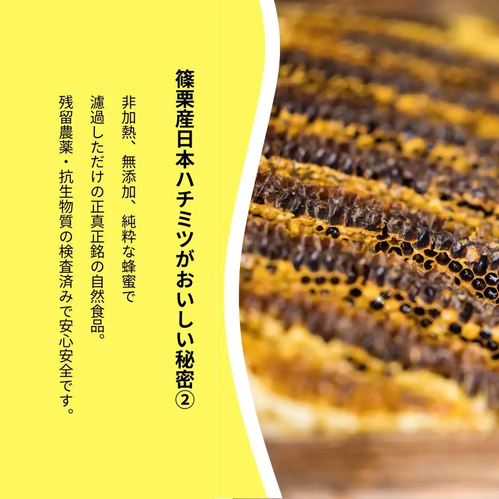 日本蜜蜂「ささぐり里山のはちみつ」（百花蜜）1000g AA002 