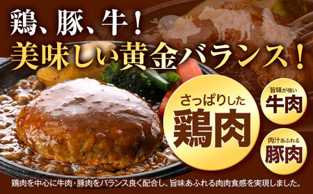 ハンバーグ 大容量！たっぷり 23個 入り 《7-14日以内に出荷予定(土日祝除く)》冷凍 大容量 23個 あか牛 国産 肉 牛肉 豚肉 鶏肉 クール便 温めるだけ 小分け 簡単 調理 特製 惣菜 デミグラスソース 湯煎 人気 子供 熊本県 玉東町｜ブランド牛肉 特産品牛肉 熊本県牛肉 あか牛 牛肉 ｜人気ハンバーグ 大人気返礼品 ブランドハンバーグ 玉東町ハンバーグ 特産ハンバーグ