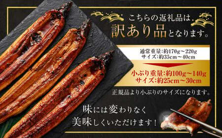 【数量限定】 【訳あり】 【ミシュラン星付きのプロが愛用】海水育ちの 天草 藍うなぎ 小ぶり 蒲焼 500g（4～5尾）  養殖期間中 無投薬 鰻 ウナギ うなぎ うなぎ蒲焼 鰻の蒲焼 国産