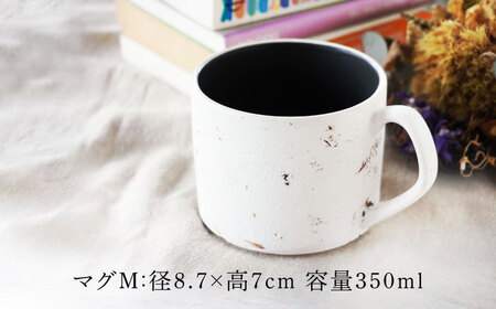 【美濃焼】SHIKKUI マグM/プレートセット マットブラック【marushin-pottery 丸新製陶】[MAM107]