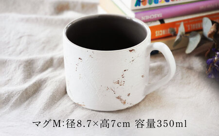 【美濃焼】SHIKKUI マグM/プレートセット マットグレー【marushin-pottery 丸新製陶】[MAM108]