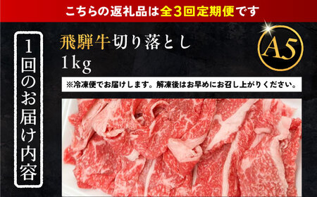 【3回定期便】 飛騨牛 切り落とし肉 A5ランク 500g×2パック (1kg) / 恵那市 / 岩島屋 [AUAJ033]