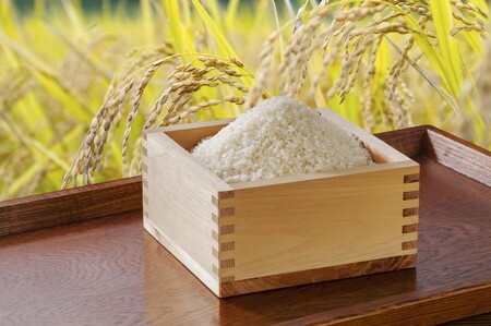 栃木県産コシヒカリ 「米屋の越光」20kg（5kg×4）◇