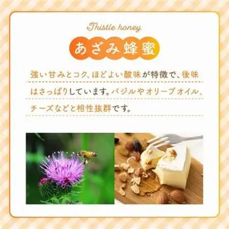旅するはちみつ300g【あざみ蜂蜜】【1186187】