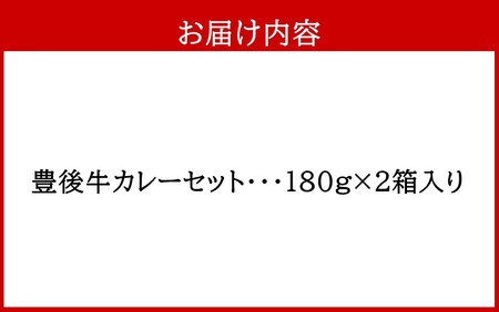 おおいた豊後牛カレー2箱セット_2454R