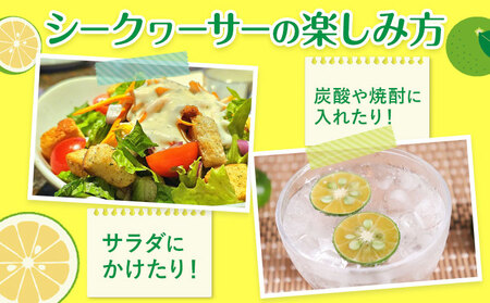 訳あり シークヮーサー 約2kg  シークヮーサー