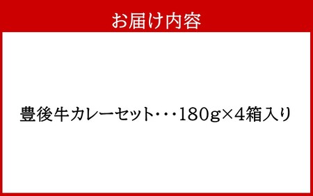 おおいた豊後牛カレー4箱セット_2455R