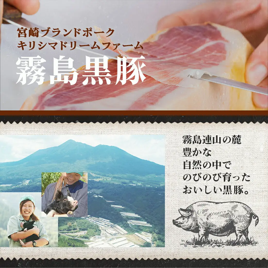 霧島黒豚生ハム切り落とし50g×10P〔AA-2810〕_(都城市)霧島黒豚 生ハム 500g 小分けパック サラダ/サンドイッチ おつまみ 冷凍 もも肉 赤身肉 塩味