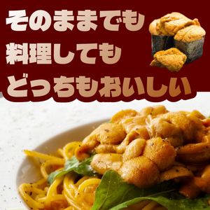 訳あり 生 うに 100g うに AB