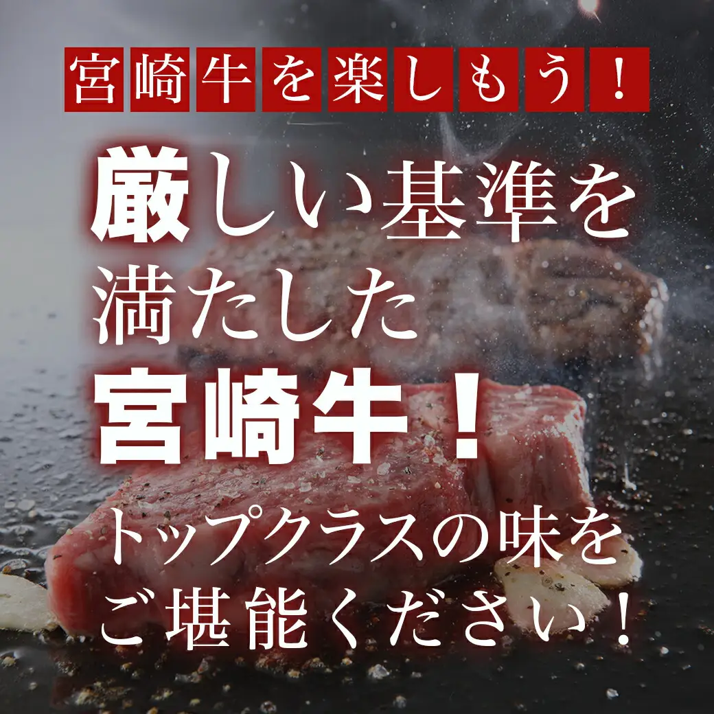 宮崎牛肩ロースステーキ250g×2枚〔16-8903〕_(都城市) 宮崎県産 宮崎牛 肩ロース ステーキ 甘～いお肉 サシの甘味 濃厚な旨み わさび醤油 霜降り コク