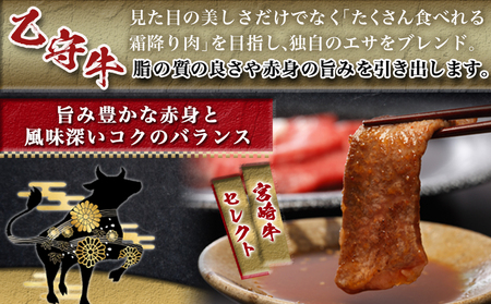 ≪限定200セット≫隔月6回お届け!【宮崎牛A5】焼肉6種盛り(乙守牛）_T192-6-6501_(都城市) 都城産宮崎牛 A5 焼肉6種盛 各100g ロース/肩ロース/ウデ/バラ/モモ(赤身)/モモ(霜降り) 隔月6回お届け