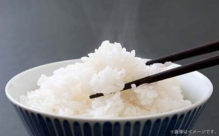 【2回定期便】＜令和8年産＞浦臼産 ゆめぴりか 精白米10kg（5kg×2袋） | 米 お米 こめ コメ ブランド米 白米 精米 ごはん ゆめぴりか 定期 定期便 北海道産 浦臼産 北海道 浦臼町 【2026年10月下旬より順次発送】