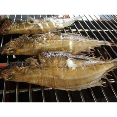 美味い、脂の乗った浜坂産一夜干しかれい　約1.0kg　5～8枚入【配送不可地域：離島】【1561770】