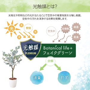 フェイクグリーン ユーカリ 120cm 光触媒加工 鉢付き インテリア 抗菌 消臭 愛知県 豊橋市 送料無料 52000円