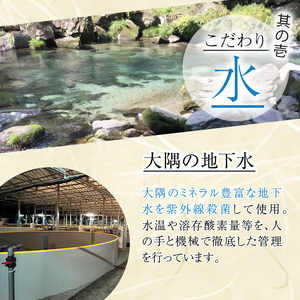 うなぎ 無投薬 鹿児島県産  (100g×6パック) うなぎ【西日本養鰻】A586