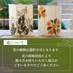 【麗】彩巴の押花灯り スタンドライト 室内用 インテリア 照明 花 おしゃれ ランプ 和風 スタンド ライト 押花 押し花 滋賀県 日野町
