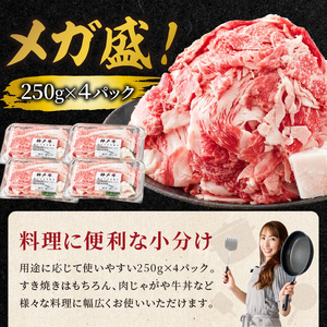 神戸牛 メガ盛りすき焼き肉 1kg 定期便全3回【1ヶ月ごとにお届け】《 神戸牛 牛肉 すき焼き 焼肉 小分け 送料無料 定期便 》【2407A00108】