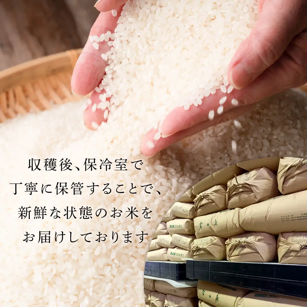 【令和7年産】みどりふぁーむの富富富（ふふふ) 10kg  米 お米 白米