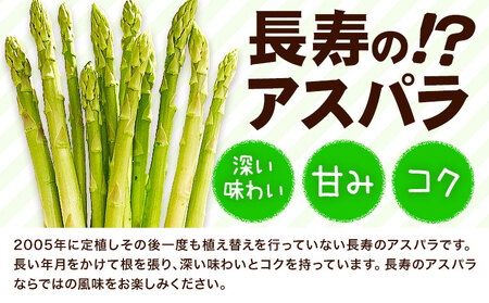 【先行予約】いっちゃんファームの アスパラ 1kg 熊本 | アスパラ