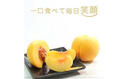 【先行受付 令和8年度発送】山形もぎたて『黄金桃』(無袋)3kg FSY-2538